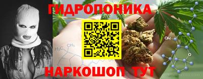PSILOCYBIN Гатчина