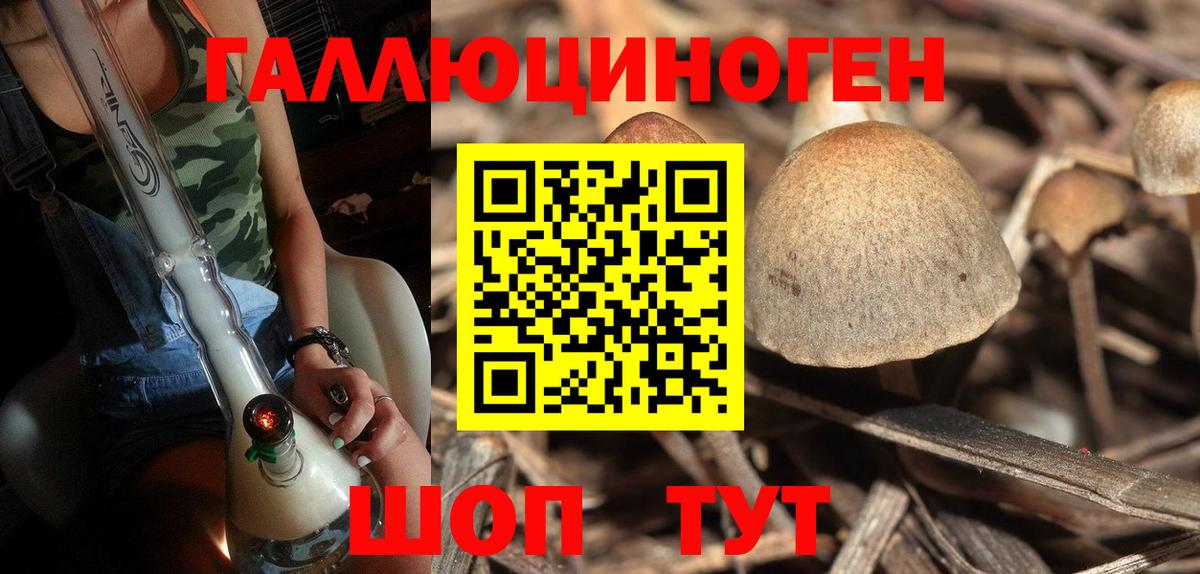 Галлюциногенные грибы ЛСД  Галлюциногенные грибы Magic Shrooms  Вход с VPN  Мурманск 